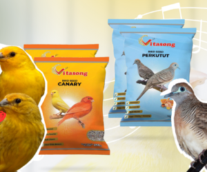 Neutral Brown Black Flying Bird Motivational Goals Quote Instagram Post (2160 x 1350 px) (2)